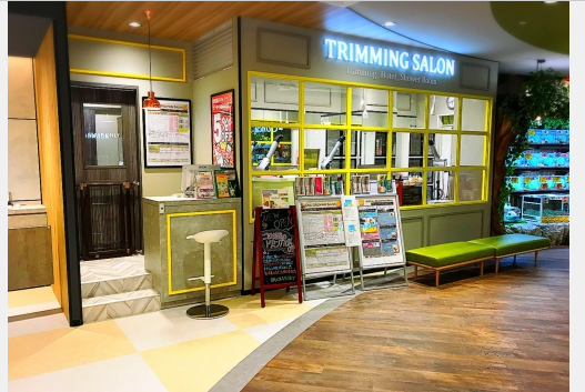 58 コロワ甲子園