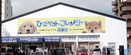 11  瓜破